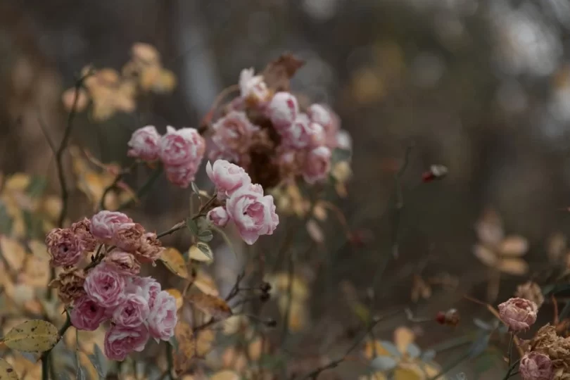 데드헤딩 뜻? 데드헤딩 방법 및 주의사항은?