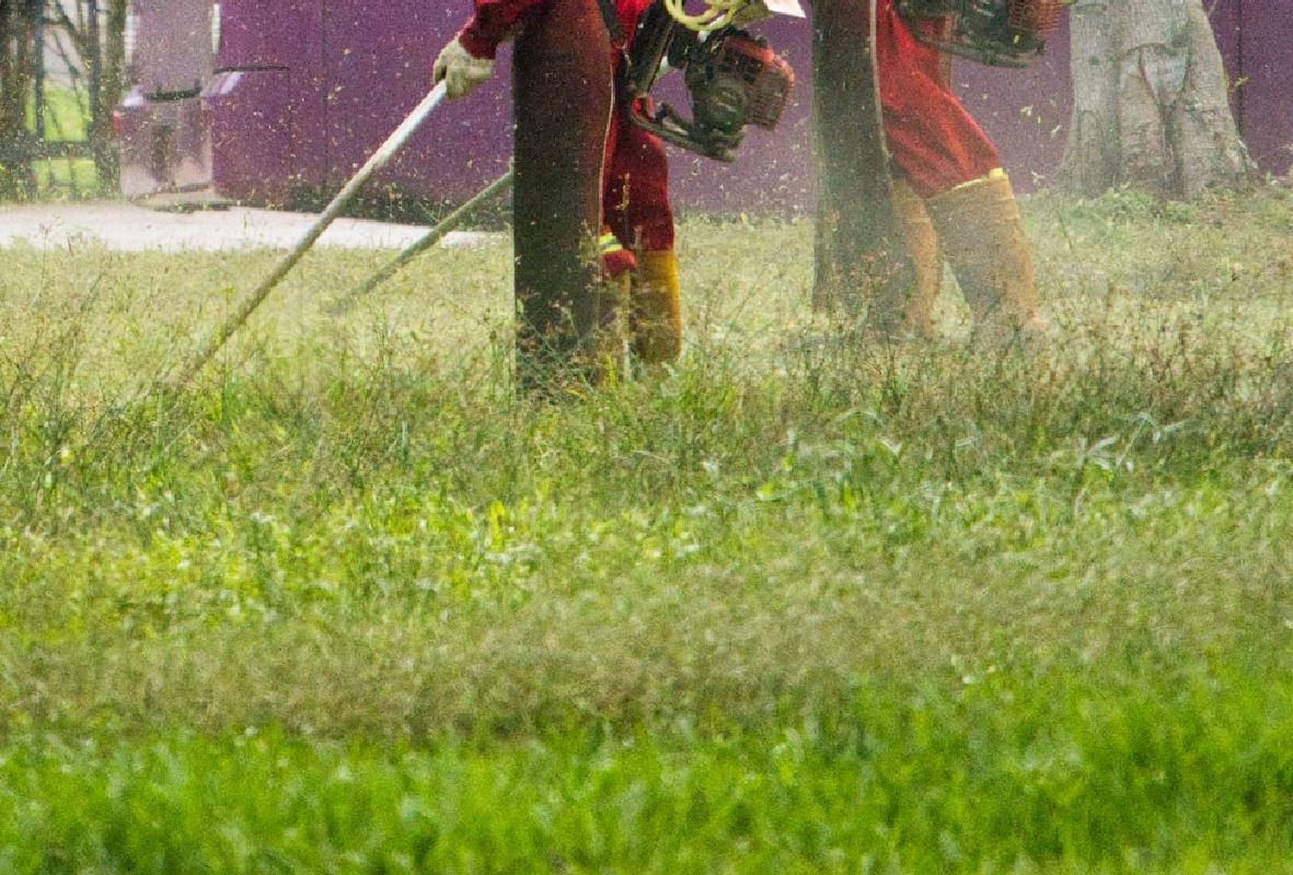 예초기 안전 작업을 위한 지침 및 주의사항, 예초 작업을 같이 하고 있는 두 명의 예초 작업자들